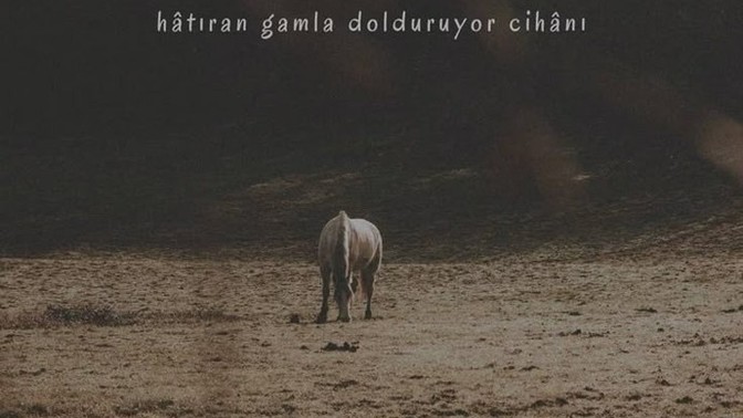 Bir insan neden susar?