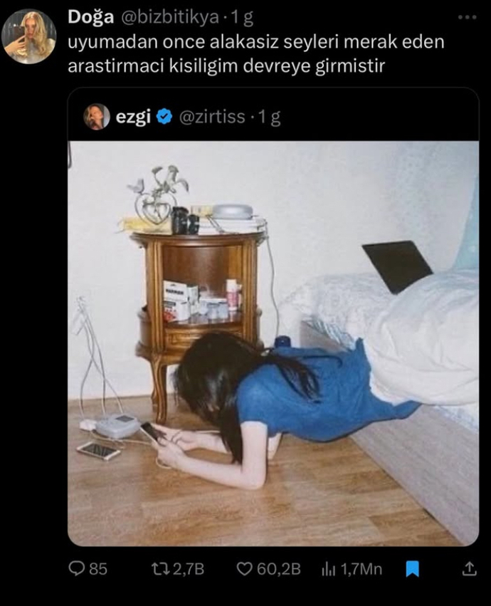 Siz de gece yatmadan önce alakasız şeyler araştırır mısınız?