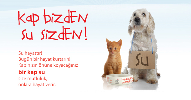 Sokak hayvanlarını beslemek için en sevdiğin yöntem nedir?