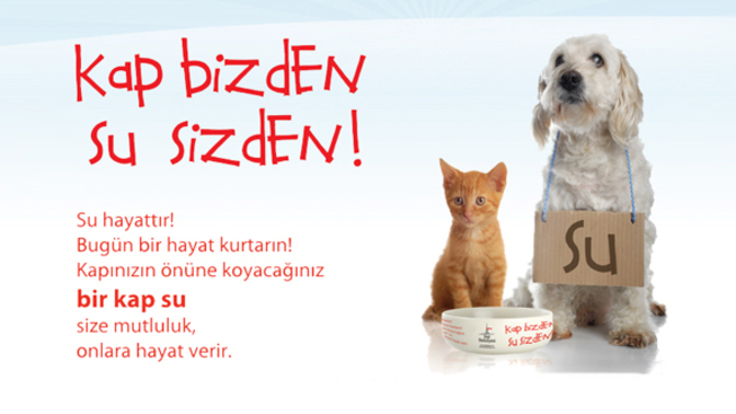 Sokak hayvanlarını beslemek için en sevdiğin yöntem nedir?