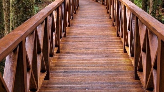 Ayakkabı numaranıza göre yürüyüş yapsaydık kaç km yol yürümüş olurduk?