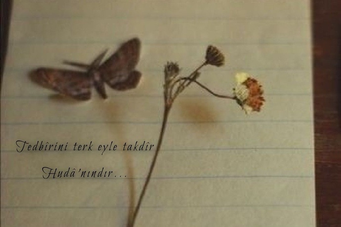 Olmasada olur dediğiniz neler var?
