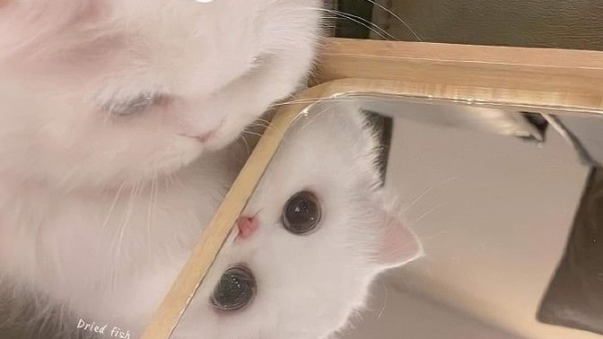 İlk başta hoşlanmadığınız biri, zamanla ilginizi çekebilir mi?