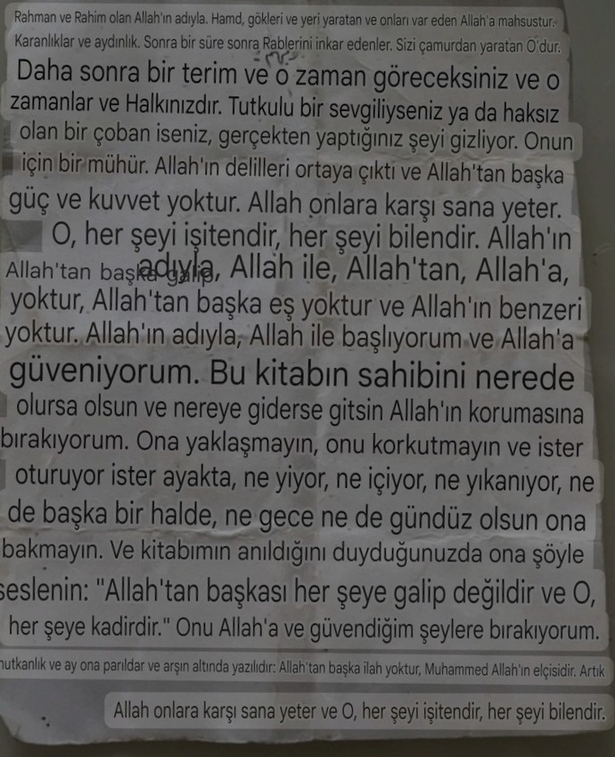 G. Lensin, Fotoğraf çevirileri ne kadar doğru?