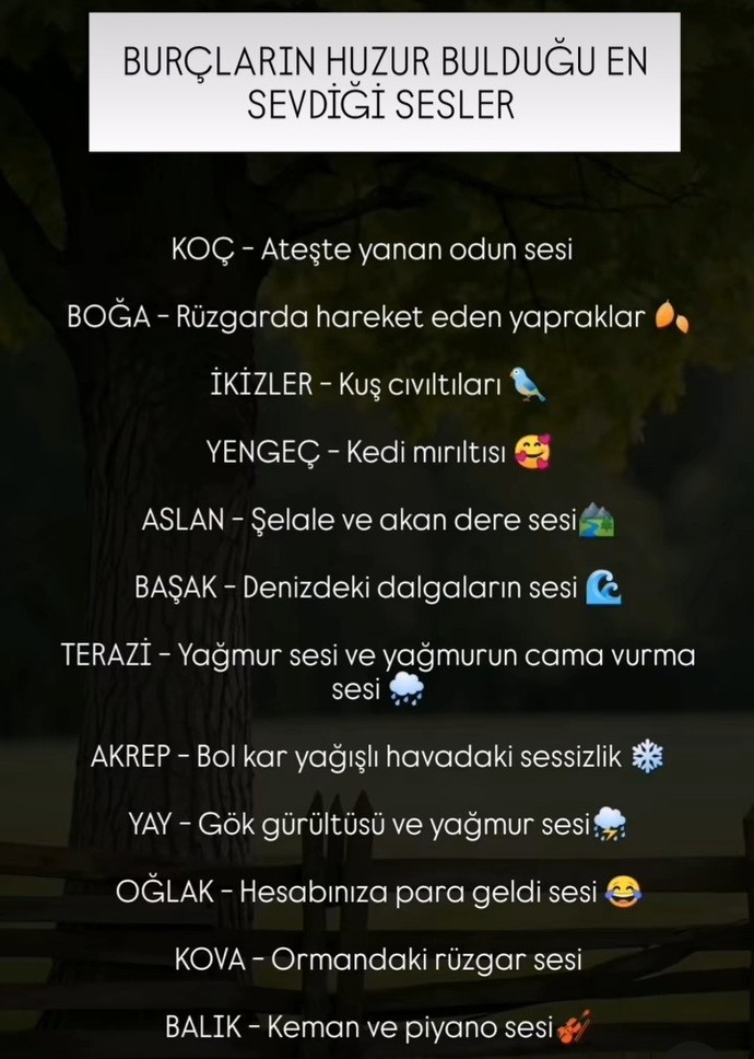 Huzur bulduğun ses var mı?