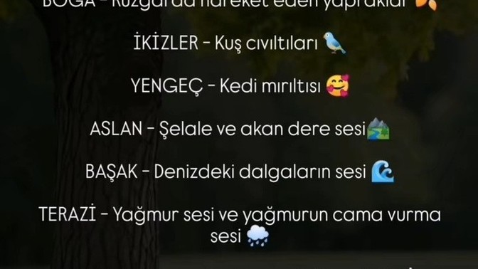 Huzur bulduğun ses var mı?