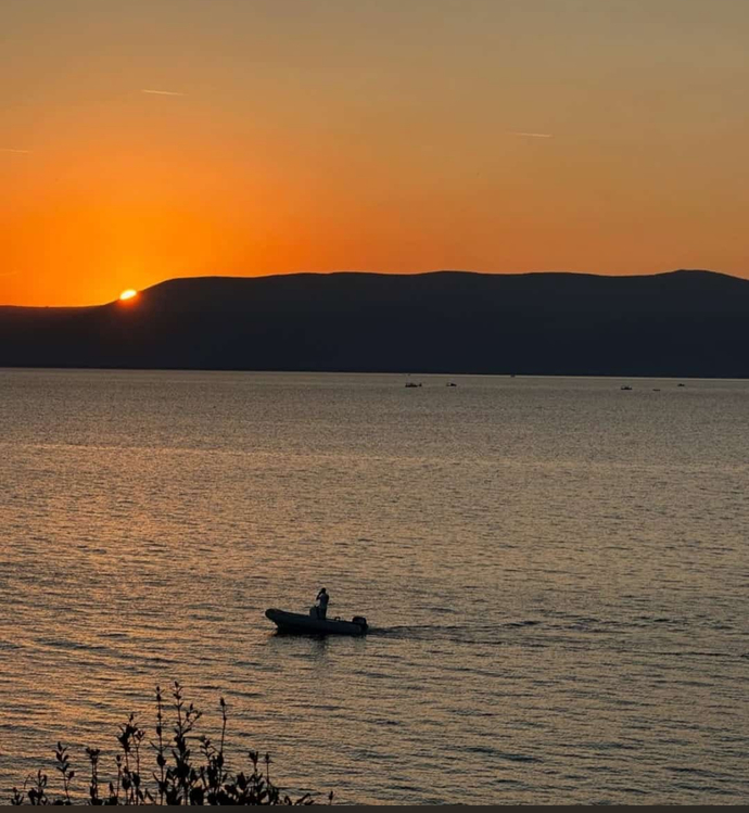 Zehirli Sarmaşık objektifinden😅