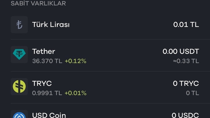 Galatasaray fan token aldınız mı?