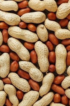 Yer fıstığı kilo aldırır mı yoksa sağlıklı bir atıştırmalık mı?