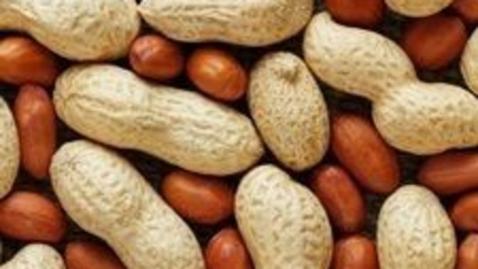 Yer fıstığı kilo aldırır mı yoksa sağlıklı bir atıştırmalık mı?