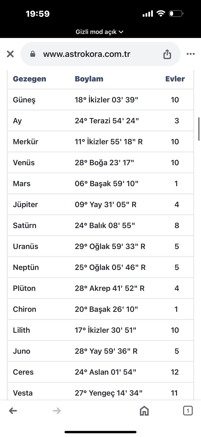 Sevdigim kisinin dogum haritasini yorumlar misiniz lutfen?