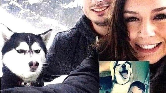 Onu en yakın arkadaşından bile kıskanır mısınız?