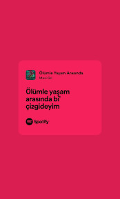Bugün bir mavigri şarkı sözü ol desem hangisi olurdun?