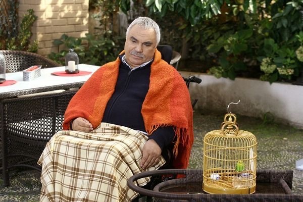 Yaprak Dökümü bağımlısı mısınız?