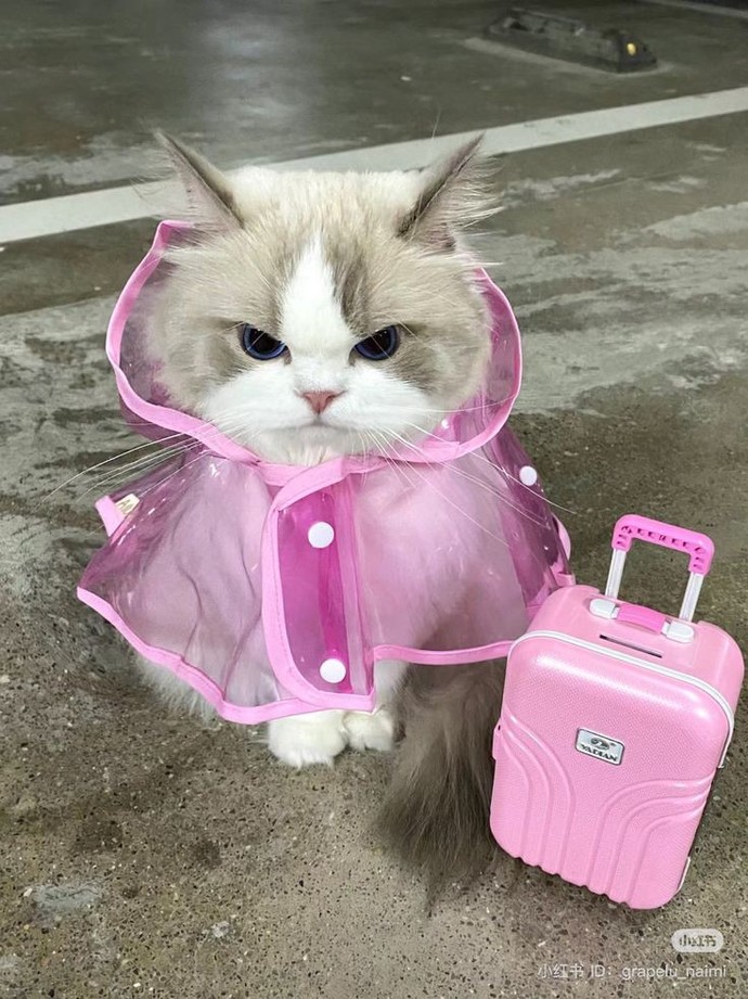 🩷💞💕