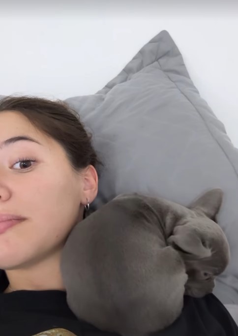 Köpeğim sürekli böyle uyuyor, çok tatlı değil mi 😍?