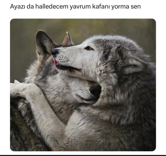Hayatınızda herşeyi ben hallederim yawrum kafanı yorma sen diyen biri var mı?