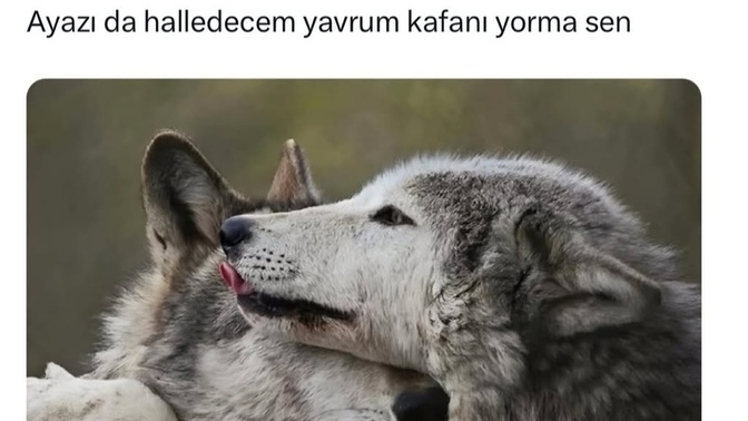 Hayatınızda herşeyi ben hallederim yawrum kafanı yorma sen diyen biri var mı?