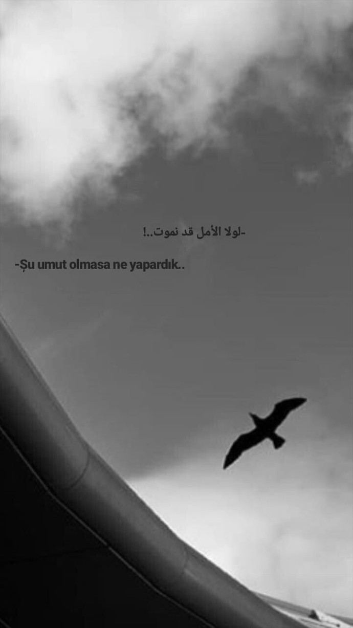 Sabrın sonu sizce de selamet midir 🫤?