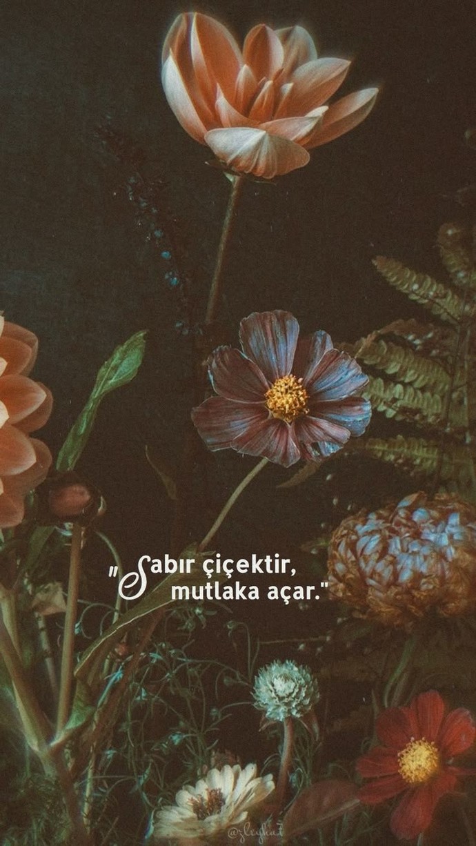 Sabrın sonu sizce de selamet midir 🫤?