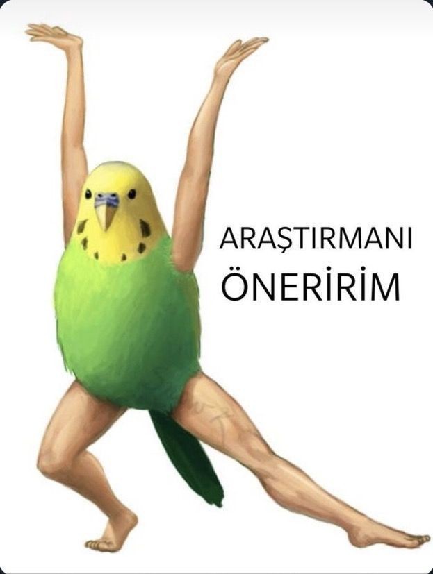 Tartıştığınız kişiye, g*rizekalı demeden nasıl g*rizekalı dersiniz?