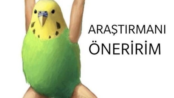 Tartıştığınız kişiye, g*rizekalı demeden nasıl g*rizekalı dersiniz?