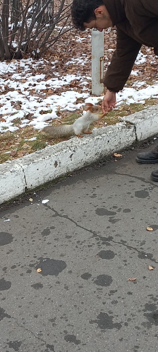Fobiniz olan hayvan var mı?
