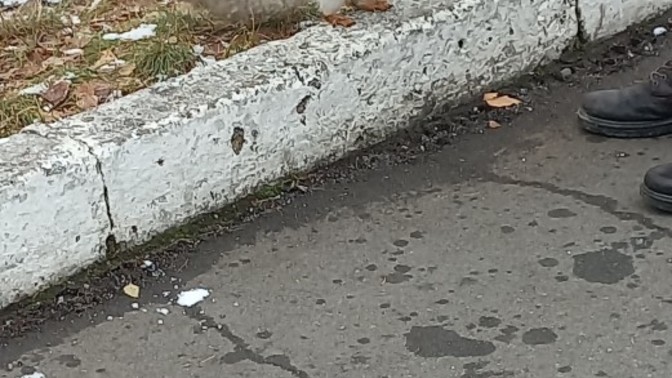Fobiniz olan hayvan var mı?