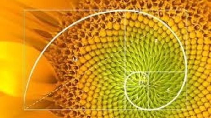 Altın Oran ile ilgili?