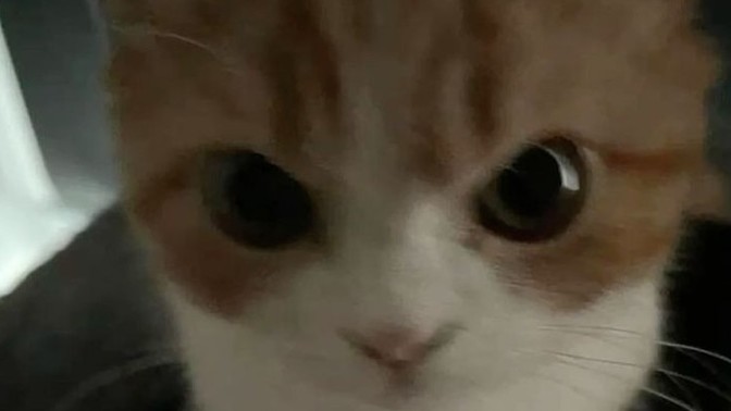 Öfkeli anlarda nasıl birisin?