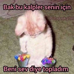 Ayrıldıktan sonra en çok neyi özlüyorsunuz?