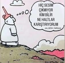 Ailenizin en meraklısı kim?