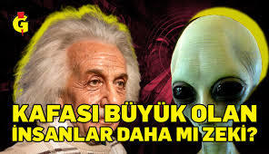 Olgun insanların bulunduğu bir çevre mi zeki insanların bulunduğu bir çevre mi isterdiniz?