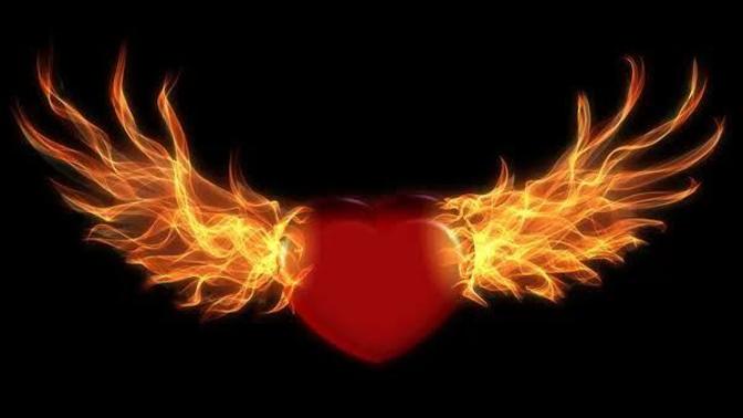 Tutkulu aşk, sadece romantik ilişkilerde mi yaşanır, yoksa başka alanlarda da tutku hissedilebilir mi 💕?
