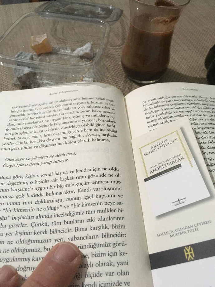 Şu an hangi kitabı okumaktasın?