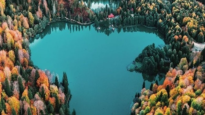 08 Artvin'e gitsem orada ne yerim ne içerim, oranın neyi meşhurdur?