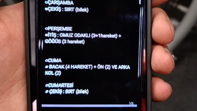 Yeni bir telefon alsaydınız hangi marka model olurdu?