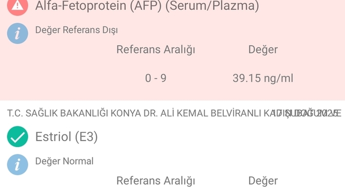 3 lü test sonucum böyle bir sıkıntı var mı sizce?