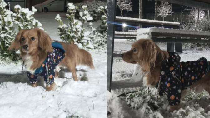 Herkes kar storysi attı değil mi, eksiğimiz yok?
