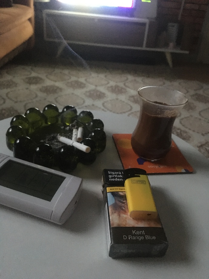 Zeytinyağlı biber dolması sever misiniz?