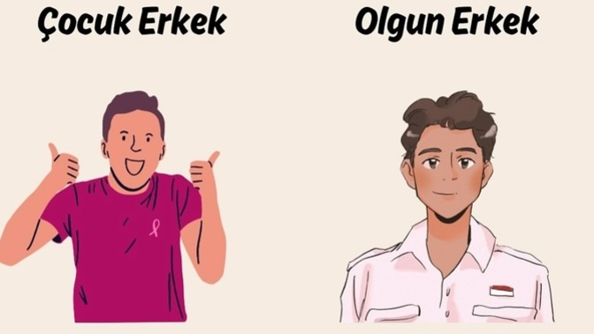 Olgun erkek ve çocuk erkek arasındaki fark nedir?