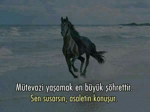 Asalet misiniz?
