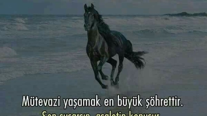 Asalet misiniz?
