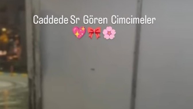 Bu göndermede arkadaş ne demek istemiş?