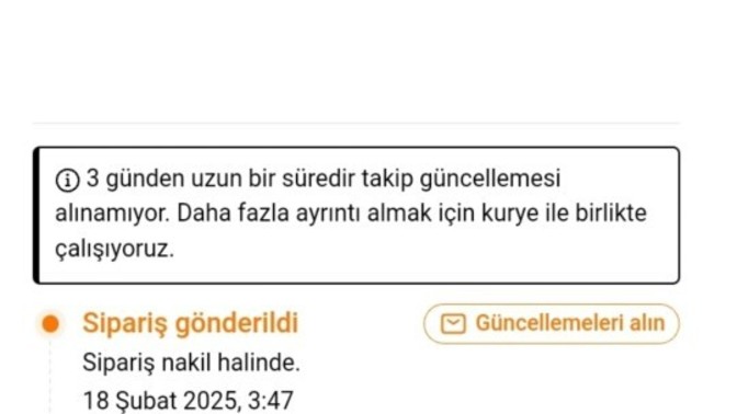 Temudan anlayan var mı? Siparişim kaybolmuş mu acaba?