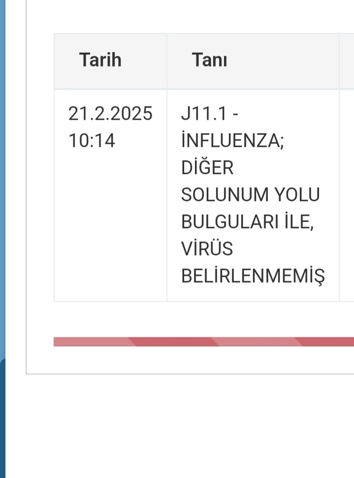 Domuz gribimiyim bakar mısınız taniya? Tam tanı yok dimi? Herkes benden kaçıyor sinir oluyorum:@?