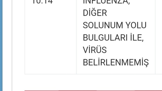 Domuz gribimiyim bakar mısınız taniya? Tam tanı yok dimi? Herkes benden kaçıyor sinir oluyorum:@?