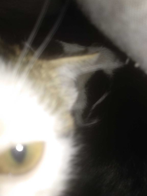 Gece gece ne yapıyorsunuz , nasıl gidiyor geceniz?