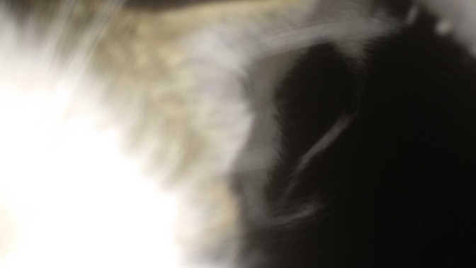 Gece gece ne yapıyorsunuz , nasıl gidiyor geceniz?
