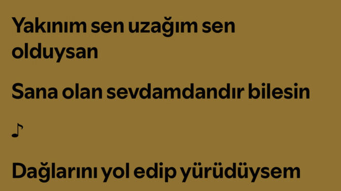 Saçlarından kaşından gözüne kadar etkilendiğin bir sevdan var mı içinde böyle uzaklarda veya imkansız olan?